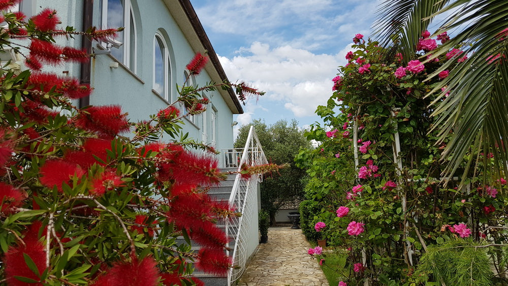 Wildgans Qigong Typ 2: Aktivurlaub (Retreat) 19.-27. September 2026