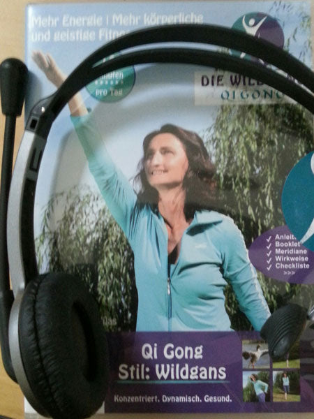 Wildgans Qigong Typ 1: Audioanleitung