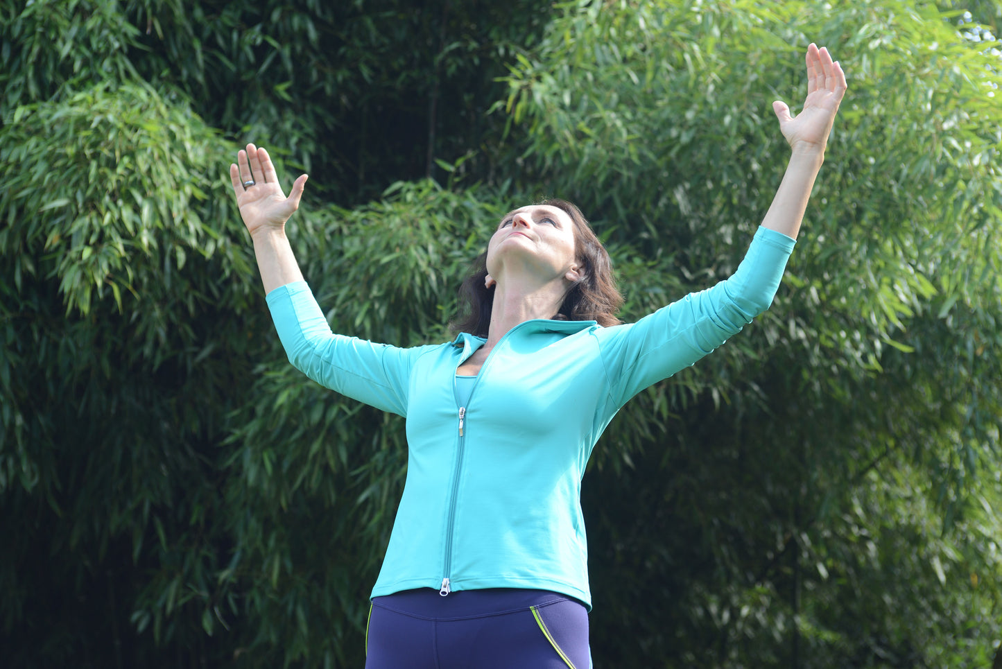 Wildgans Qigong Typ 1: Lehr-DVD