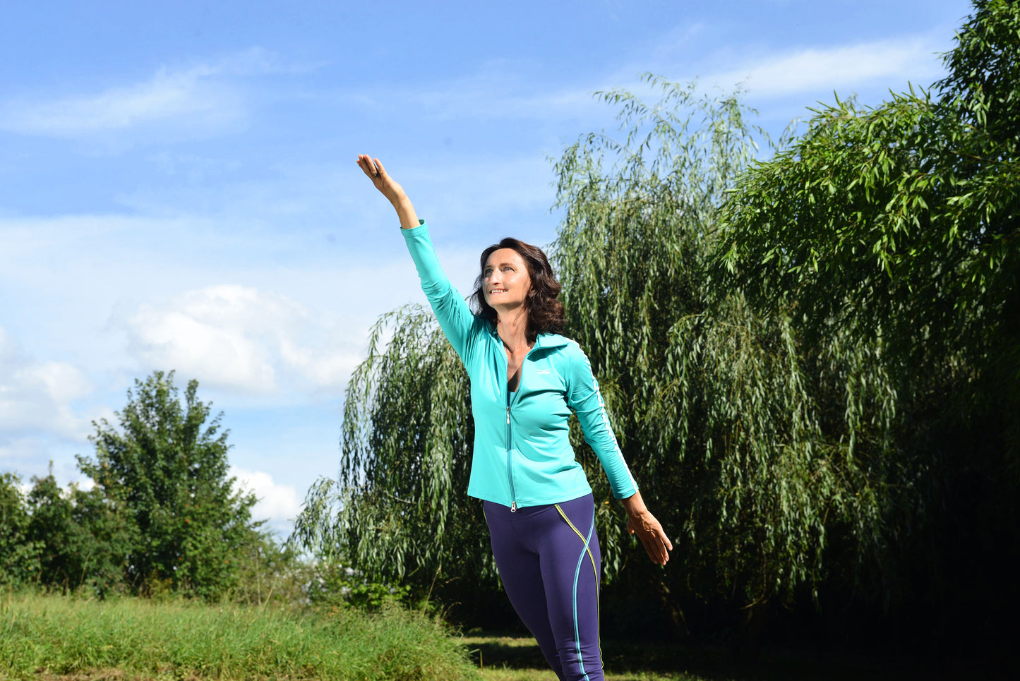 Wildgans Qigong Typ 1: Lehr-DVD