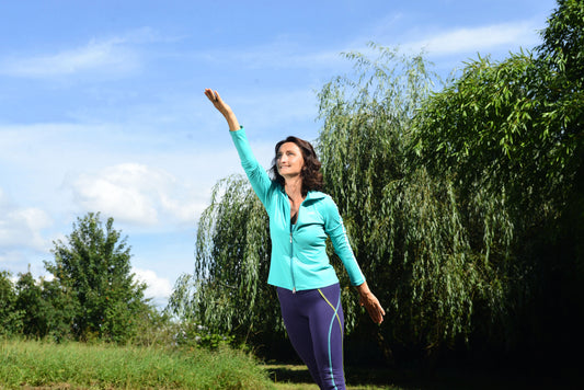 Wildgans Qigong Typ 1: Lehr-DVD